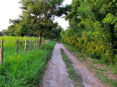 The Dirt Road to Palomino Beach Colombia