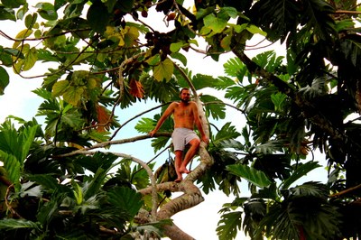 Ben in a tree in Pantoja