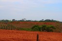 4702 - Red Clay Earth from the Peruvian Jungle near Yurimaguas.JPG